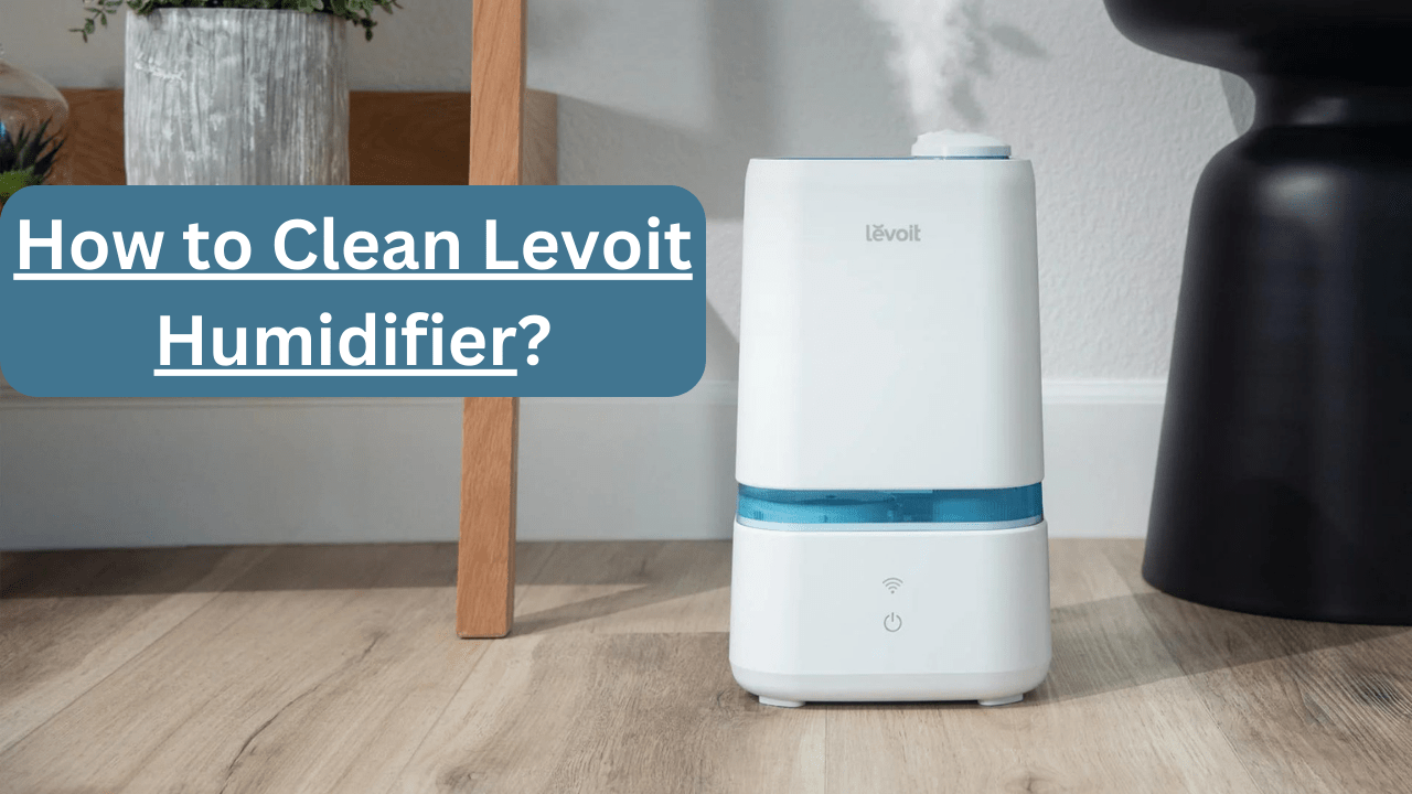 How to Clean Levoit Humidifier