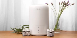 How to Clean Levoit Humidifier 