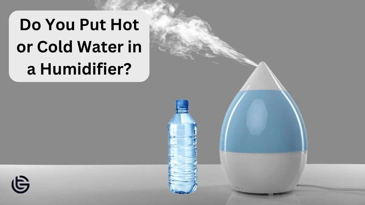 Do You Put Hot or Cold Water in a Humidifier?
