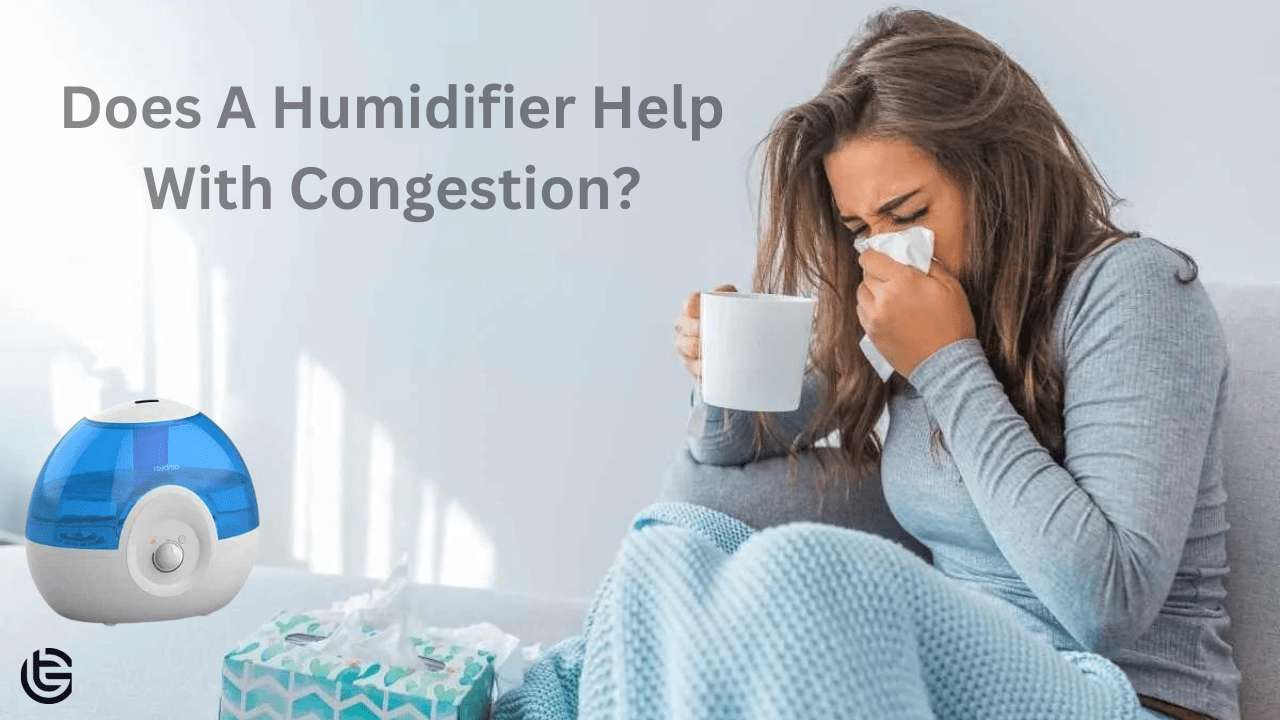 Does A Humidifier Help With Congestion?