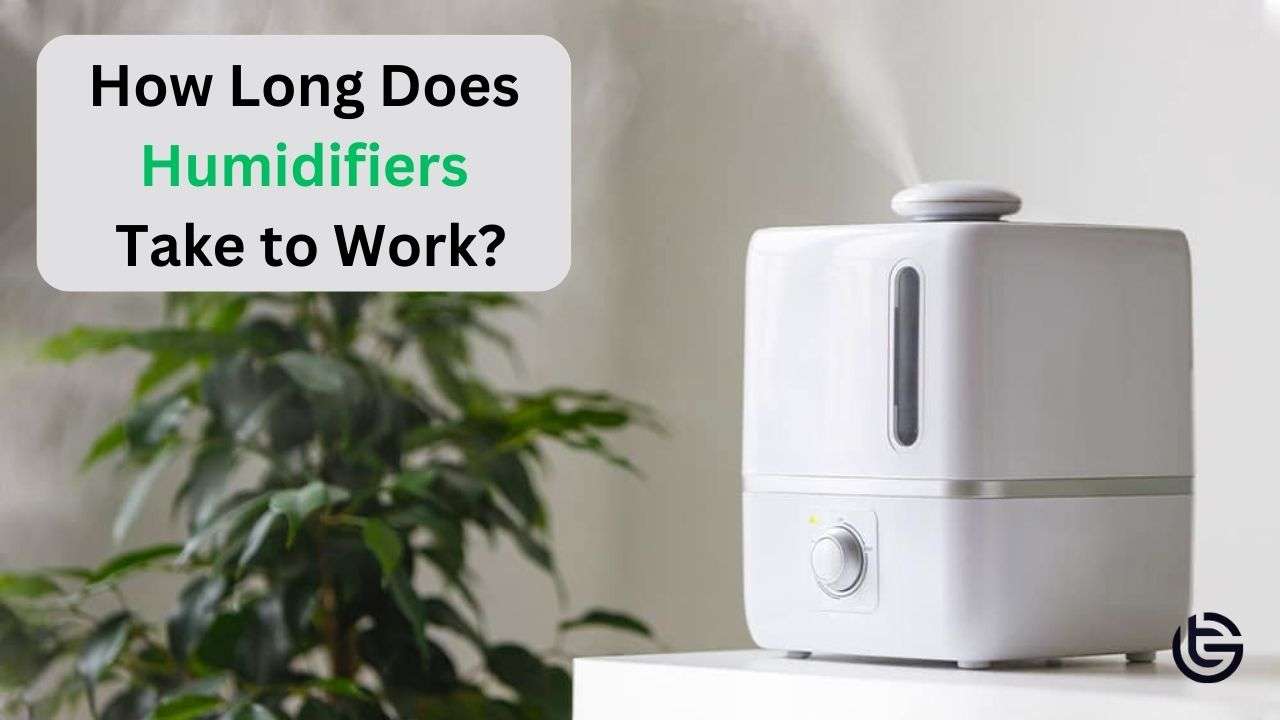 How Long Does Humidifiers Take to Work?