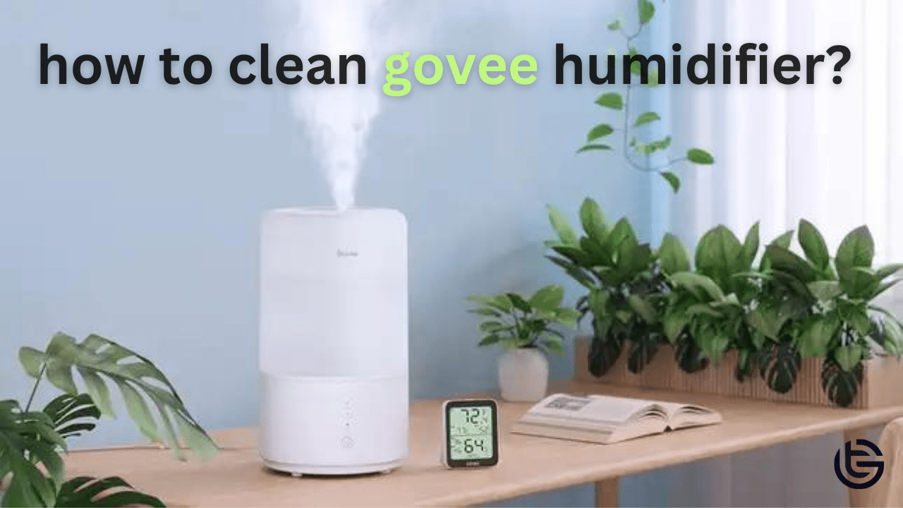 how to clean govee humidifier?