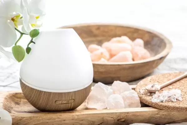 Can You Put Epsom Salt In A Humidifier?