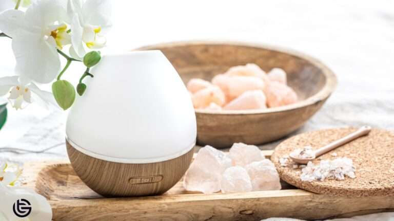 Can You Put Epsom Salt In A Humidifier?