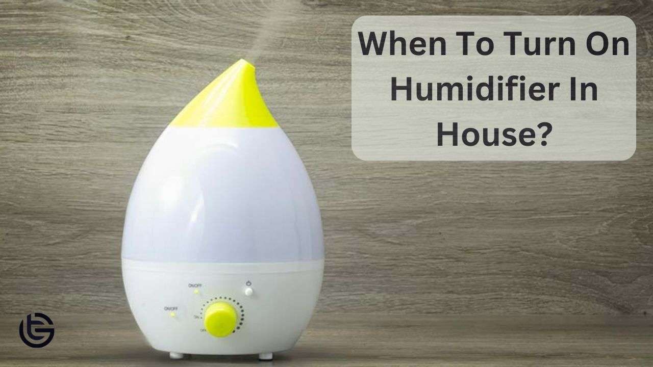 When To Turn On Humidifier In House?