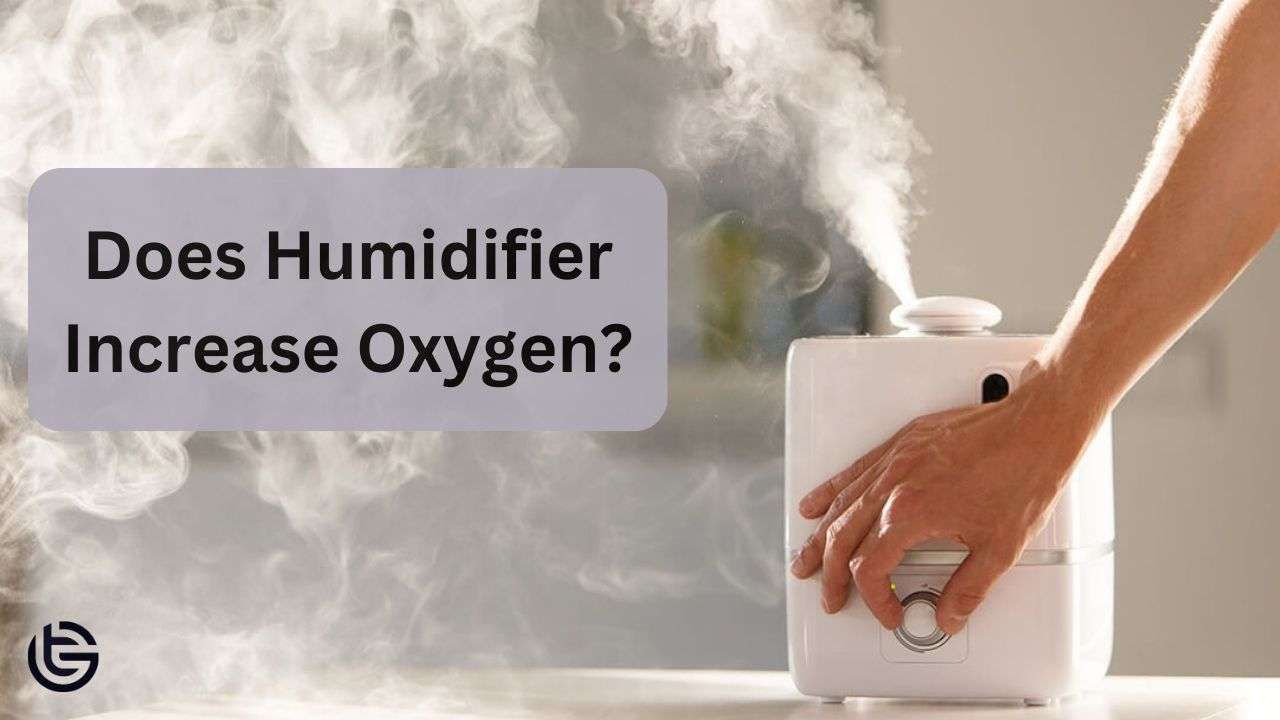 Does Humidifier Increase Oxygen?