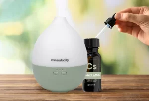 Can I Put Essential Oil in my Humidifier?