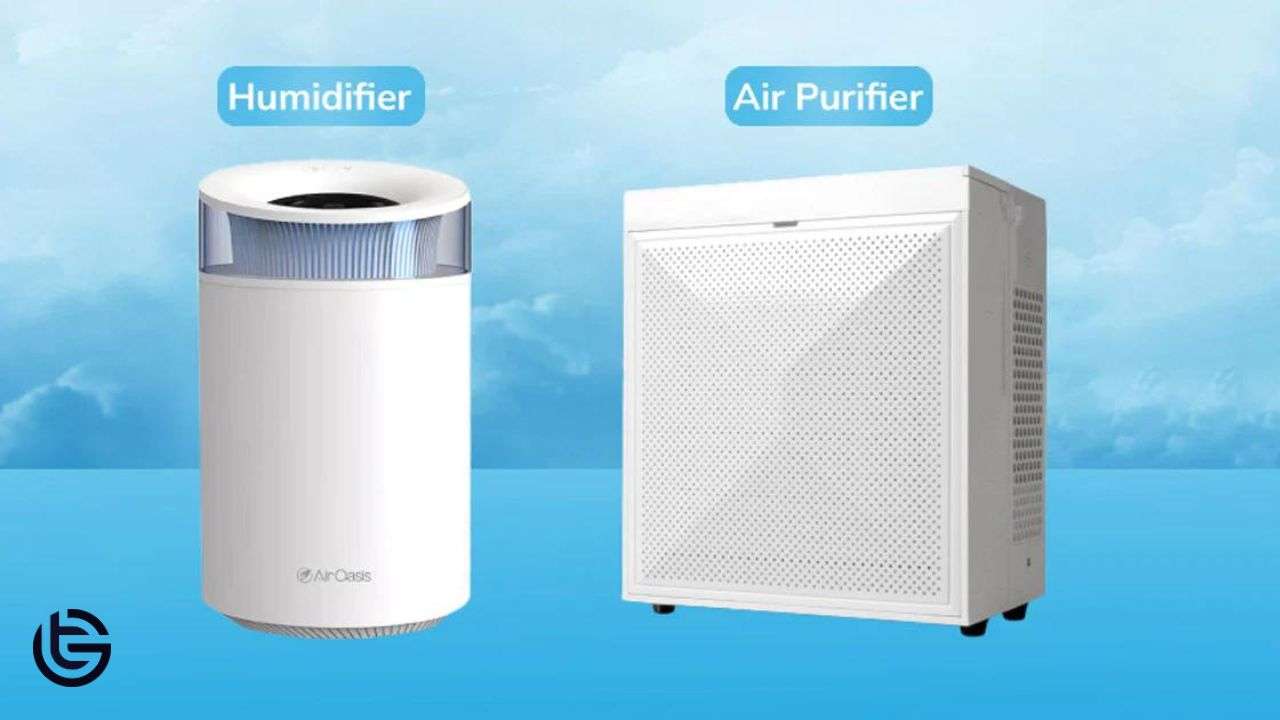 what is the difference between a humidifier and an air purifier?