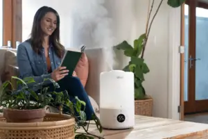 humidifier in the summer