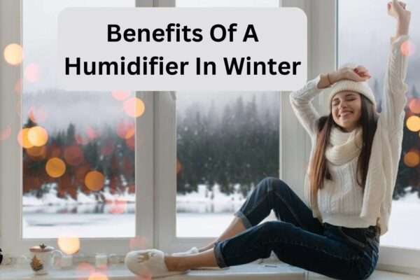 Benefits Of A Humidifier In Winter