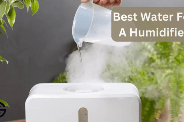 What Is The Best Water For A Humidifier?