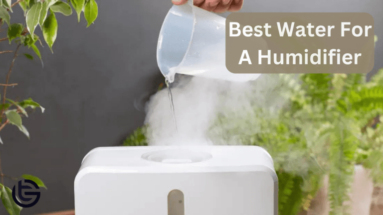 Best Water For A Humidifier