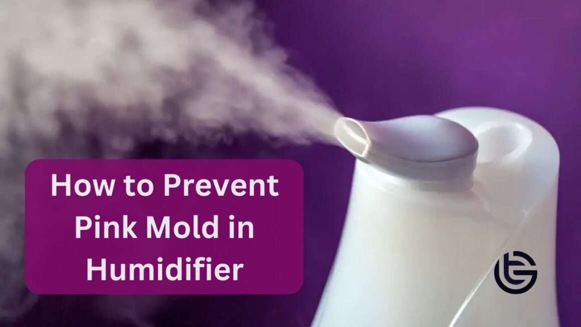 How to Prevent Pink Mold in Humidifier