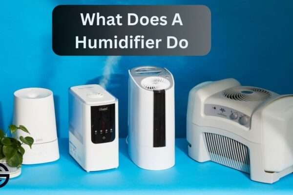 What Does A Humidifier Do