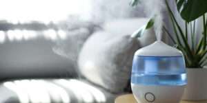 When to Use a Humidifier